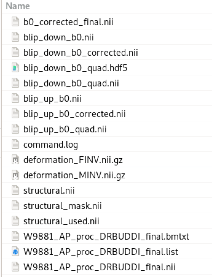 outputs in the DRBUDDI folder